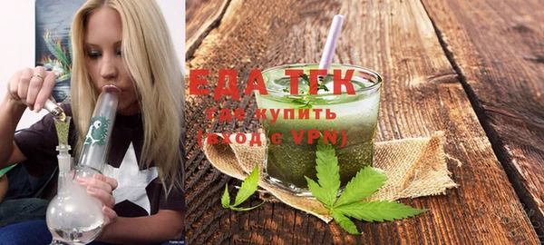 гидра Абаза