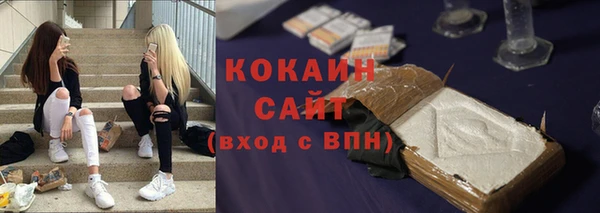 гидра Абаза