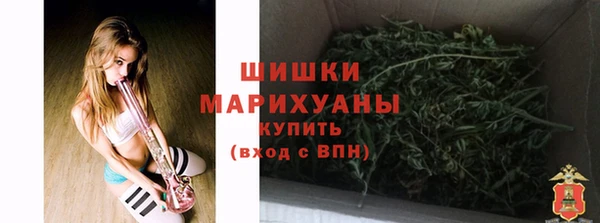гидра Абаза