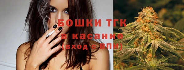 гидра Абаза