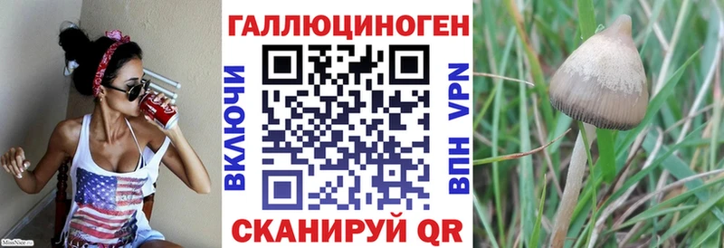 Псилоцибиновые грибы Psilocybe  наркота  Курск 
